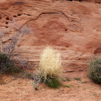 Valley of Fire 1980